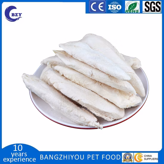 Petisland Coleira para animais de estimação produtos para animais de estimação médios grandes com fivela de aço inoxidável trançada de nylon personalizada nova com fivela de cobra coleira para treinamento de cães