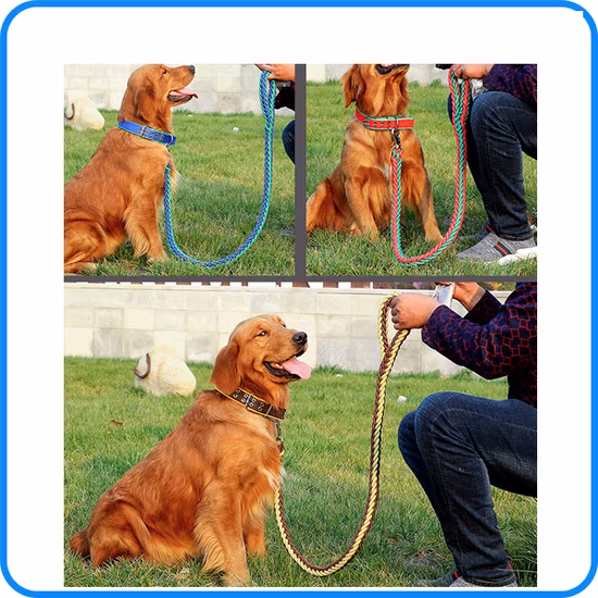 Coleira de náilon para cachorros de estimação com preço de fábrica (HP-107)